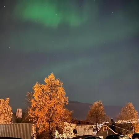 Arctic - Tag Tromsø