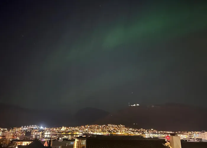 Arctic - Tag